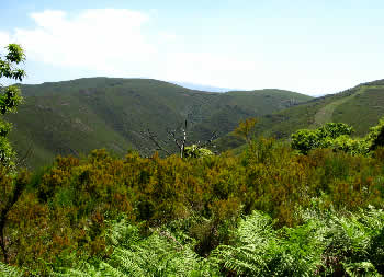 landscape around las medulas