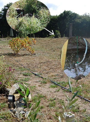 solar pumping from second well