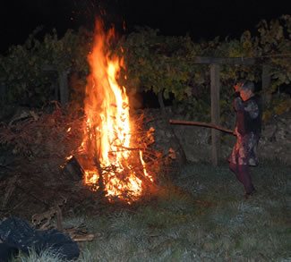 Bonfire Bonfire