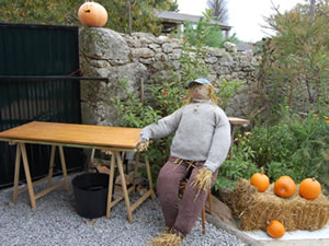 Bar tender arrives