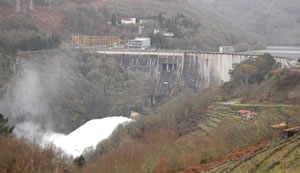 Belezar in full flow