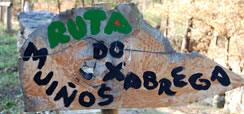Start of the walk near Arxemil