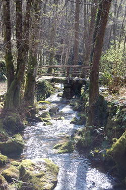 Mils of Arxemil river cabe
