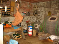 inside the bodega