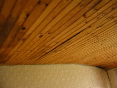 rotten ceilings