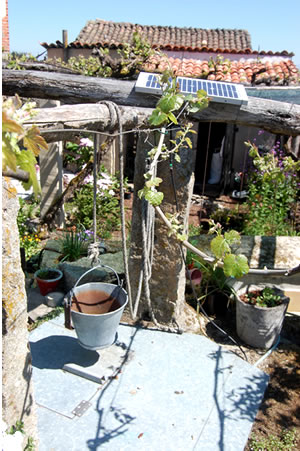 our main well near the house