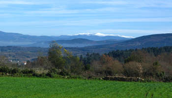 country side view