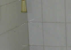 typical tile pattern typical tile pattern