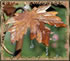 Water features hand made