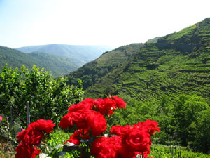Ribeira Sacra Holey Valley