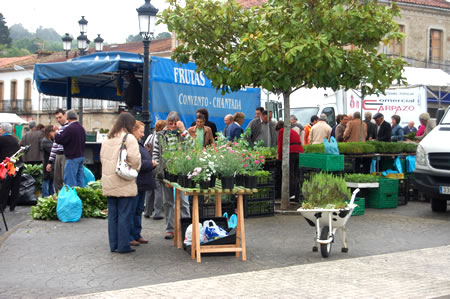 Market in Sober