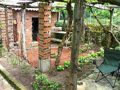 Margarets garden 2007